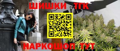 соль ск Можга