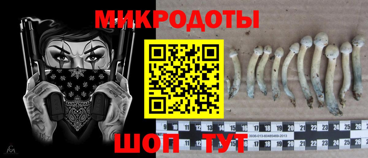 Псилоцибиновые грибы GOLDEN TEACHER  что такое наркотик  Вход с VPN  Урюпинск  Псилоцибиновые грибы MAGIC MUSHROOMS 